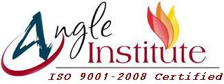 Angle Institute